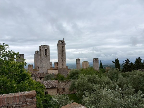 Via Francigena D1: San Gimignano-Colle di Val d’El3072650