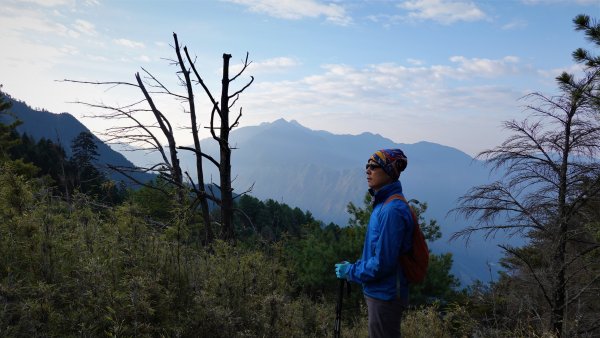 山行漫遊郡大林道上的清水金子郡大三美山1341629