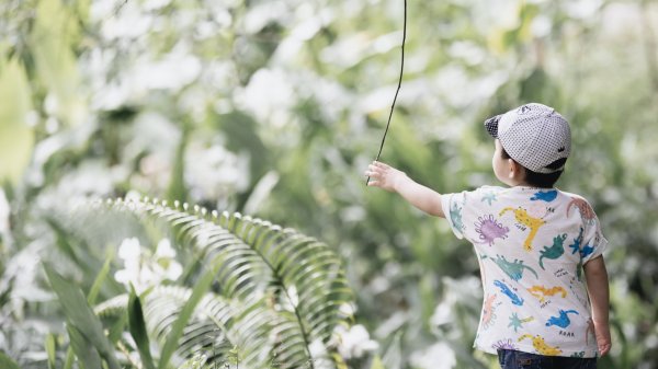 小樂的親子登山旅程-坪林金瓜寮魚蕨步道959233