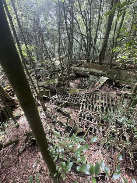 稍來山 飛機殘骸 c119 31942321053