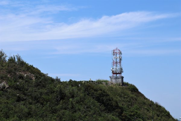 HK - 大石磨950003