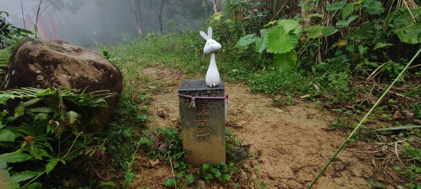 2025/11/02_大崎棟古道+騎龍古道+逃學步道2929059