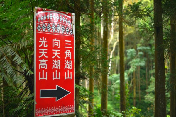 向天湖山步道 (大 O：含三角湖山、光天高山)2664921