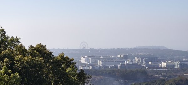 2026/02/15-后里觀音山+鳳凰山3005063