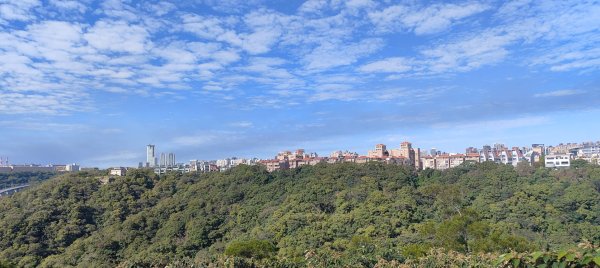 新寮休閒步道2949219