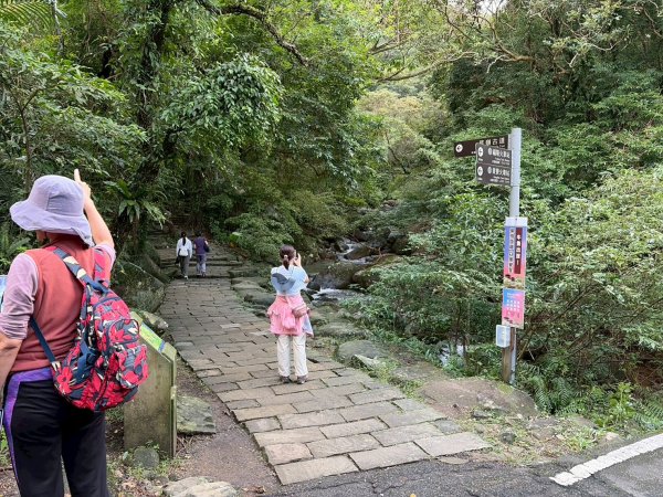 新北 貢寮 草嶺古道2955658