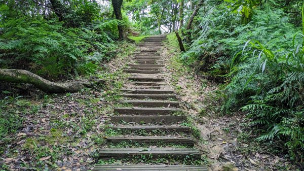 四分尾山,勤進路2515120