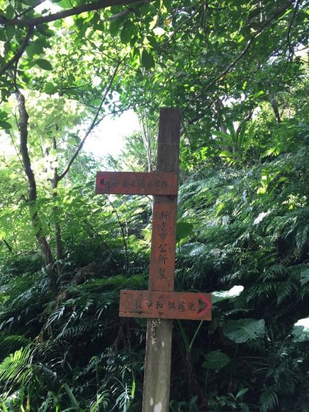 烘爐地登山步道283690