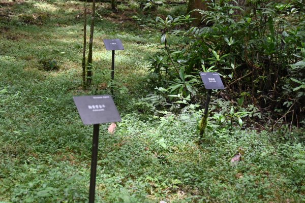 2025_0712 福山植物園2836326