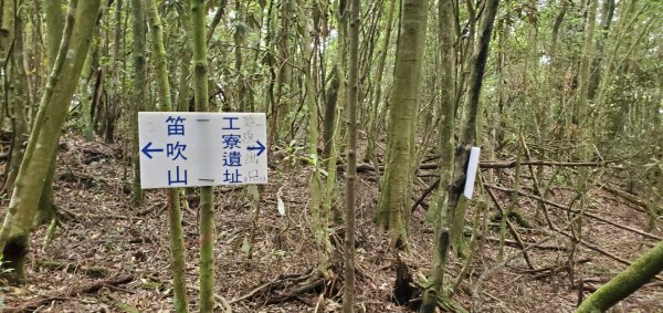 橫沙迪O型縱走_大雪山社區登山口2826563