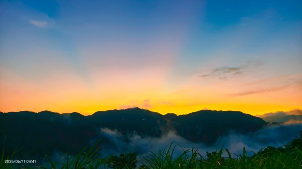 跟著雲海達人山友追雲趣 #草莓月亮 #月圓雲海 #霞光 #日出雲海 #茶園 6/112808824
