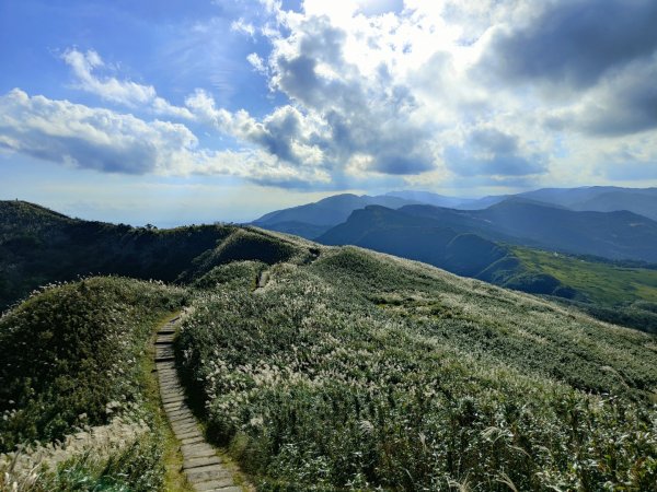 2023.11.23 桃源谷內寮線登灣坑頭山2503645