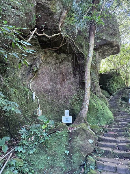 平溪小黃山2873264