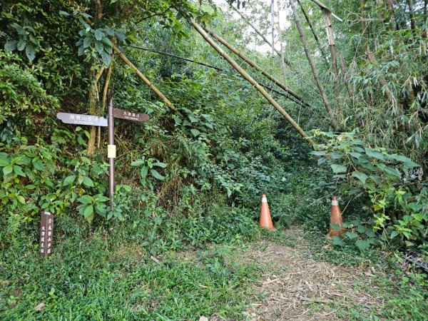 尾寮山-小百岳#73-屏東縣三地門鄉2931087