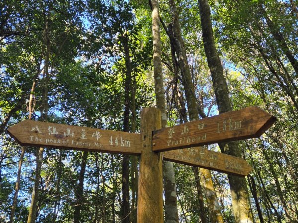 八仙山森林遊樂區、佳保台山2712668