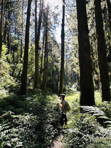 20251005小百岳金柑樹山2906988