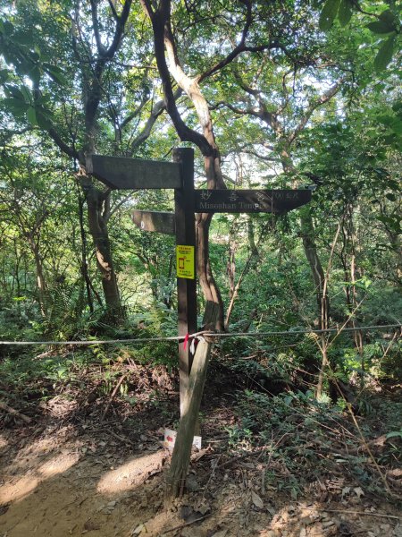 微笑山線：【大棟山系】百年大榕樹段2868480