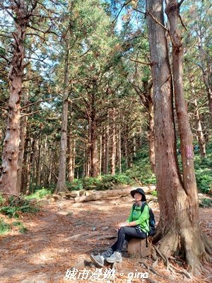 【台中和平】山林野餐。長壽山(肥崠山)山徑2969437