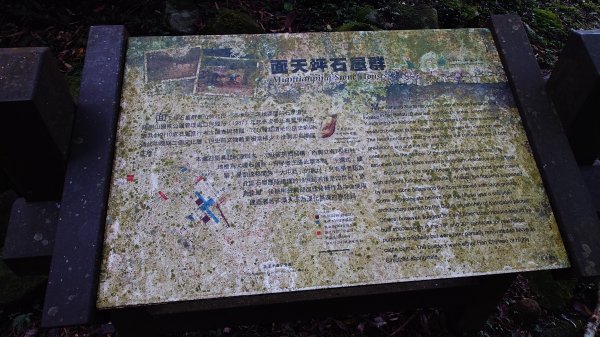 20260125 陽明山前後山健行(無極天元宮~山仔頂步道.向天池.向天山.面天山.二子坪)2998047