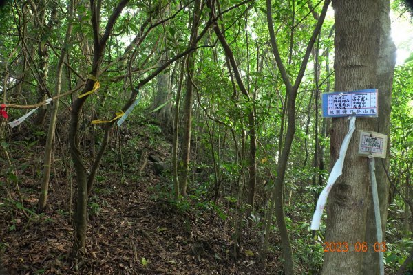 桃園 復興 柑坪山、新柑坪山、牛背岩2171291