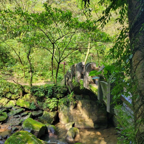 暖東峽谷步道2092647