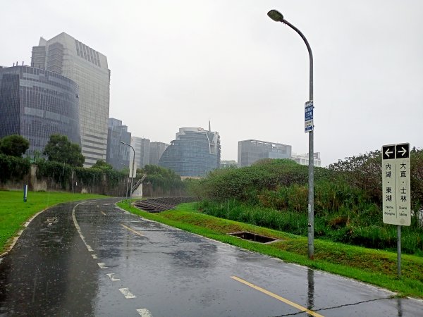 基隆河右岸尋花問草2091145