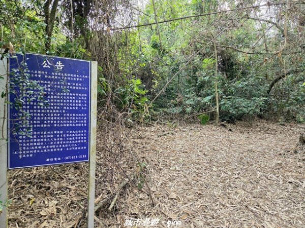 【高雄田寮】小百岳大崗山x大崗山磐龍峽谷步道3013142