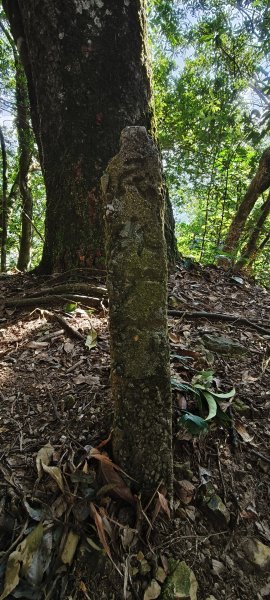 2025/12/06-光高天+南大龜+向天湖+三角湖山2957697