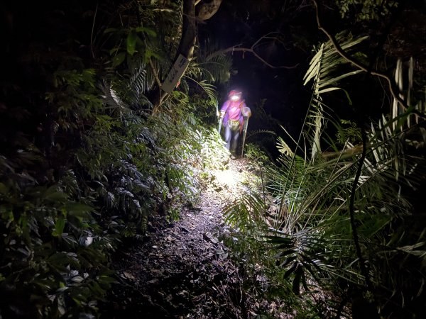 山毛櫸掉光光的 卡保逐鹿O繞 202511152937482