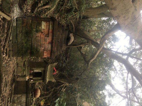 水牛城、百年土地公2036496