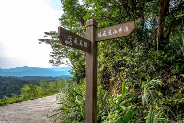 新竹飛鳳山-觀日坪古道46912