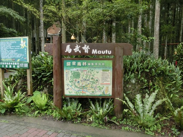 馬武督森林566511