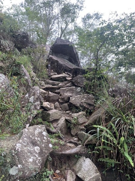 20240609 谷關東卯山(公子登山隊)2523427