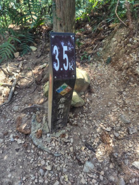 唐麻丹山 蝴蝶谷2918964