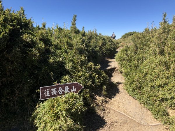 合歡山西北峰704776