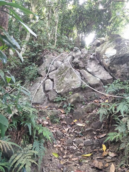 2019 10 29 三腳南山登山步道717742