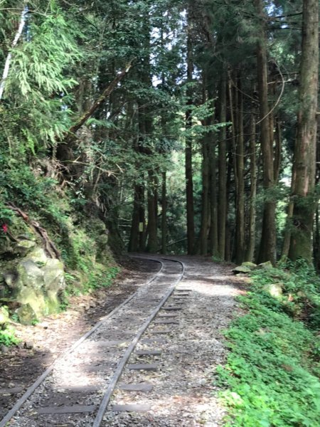 特富野古道903211