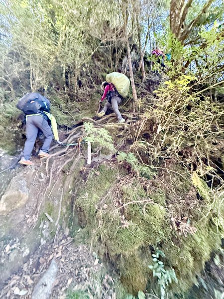 230林道糜爛去    2025.2.28-3.12733792