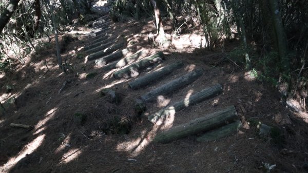 東埔山登山健行趣(中級山)2031801