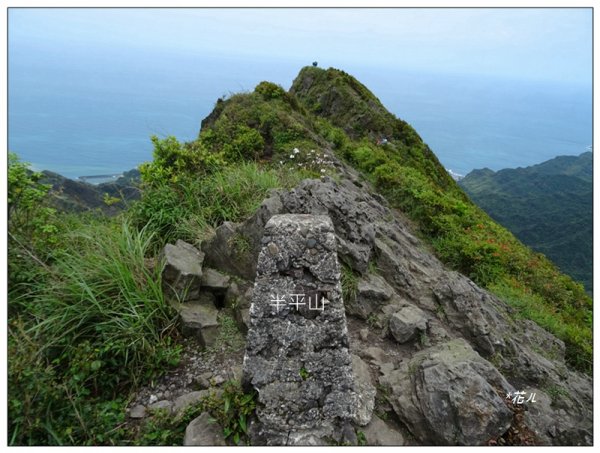 半平山步道(新北、瑞芳)2158613