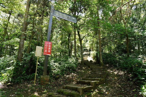 新竹 竹東 上坪山、五指山2541684