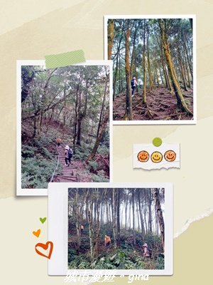 【新竹竹東】五指山登山步道3004817