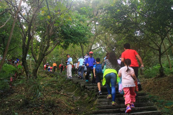 汐止大尖山健行活動 20191109735078