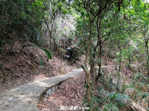 【南投。草屯】蜿蜒步道很親民。 中興新村虎山步道1383079