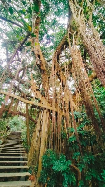 柴山夜爬看夕陽2993418