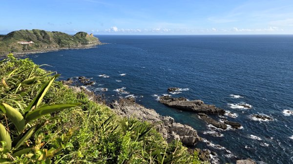 夏季的黃金十稜接九稜下門牙稜C型(草長路荒慎行)2880674