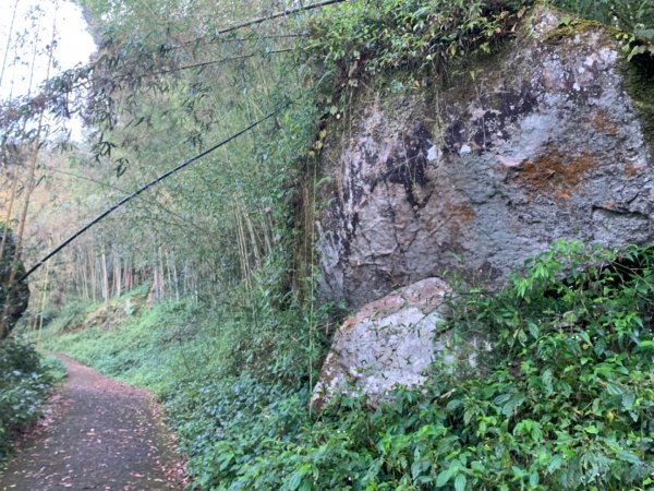 大凍山（小百岳）1117295