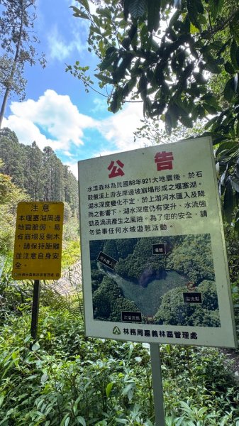 水漾森林+瞑月神木2768756