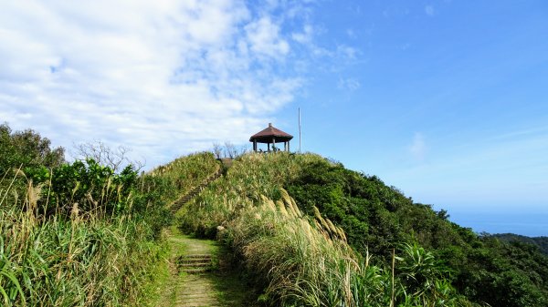 大溪,灣坑頭山,福隆790067
