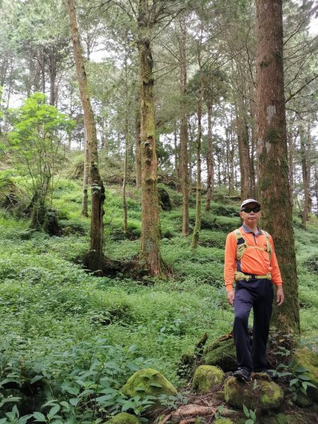 阿里山水山療癒步道_202407062569748